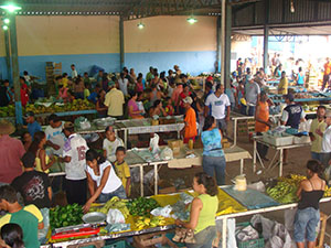 Mercado Municipal